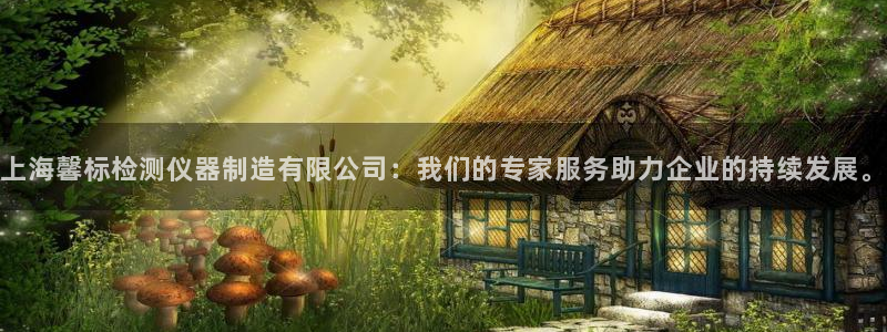 恒行登录就搜6ll5l：上海馨标检测仪器制造有限公司：我们的