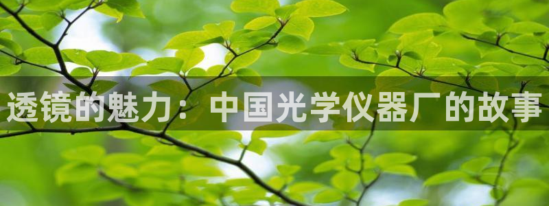 恒行2许74OOO5：透镜的魅力：中国光学仪器厂的故事