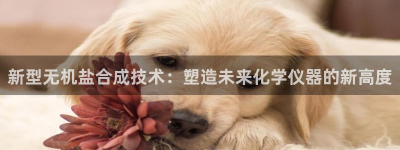 恒行娱乐冯74OOO5：新型无机盐合成技术：塑造未来化学仪器