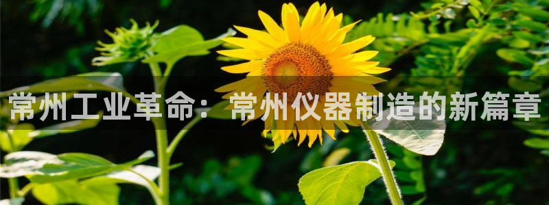 恒行娱乐吕74OOO5：常州工业革命：常州仪器制造的新篇章