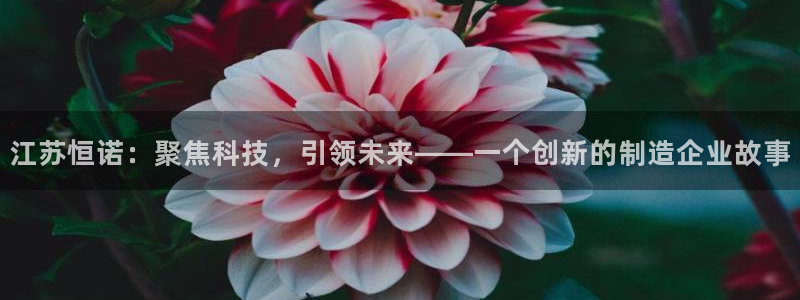 恒行娱乐蜗74ooo5指磁：江苏恒诺：聚焦科技，引领未来——