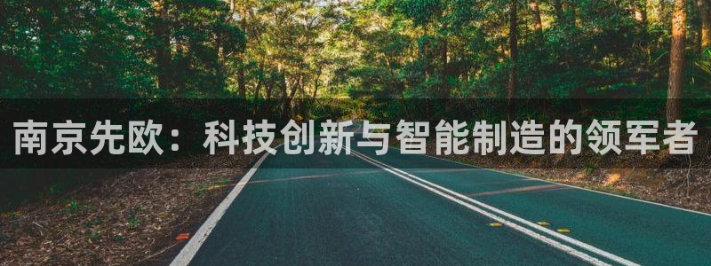 恒行2韩74OOO5：南京先欧：科技创新与智能制造的领军者