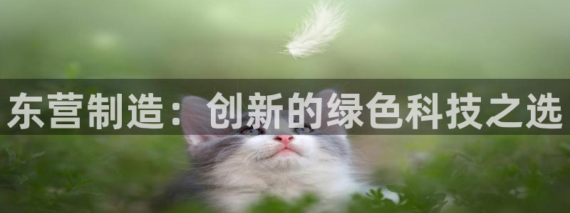 恒行主管6ll5l指定：东营制造：创新的绿色科技之选