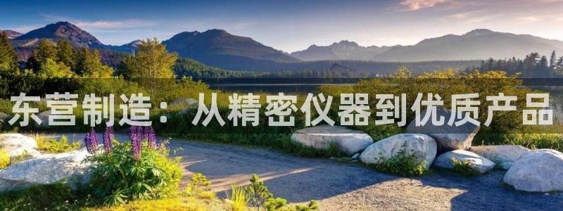 恒行2卫74OOO5：东营制造：从精密仪器到优质产品