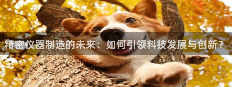 恒行2冯74OOO5：精密仪器制造的未来：如何引领科技发展与