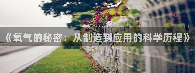 恒行3乃5O6917：《氧气的秘密：从制造到应用的科学历程》