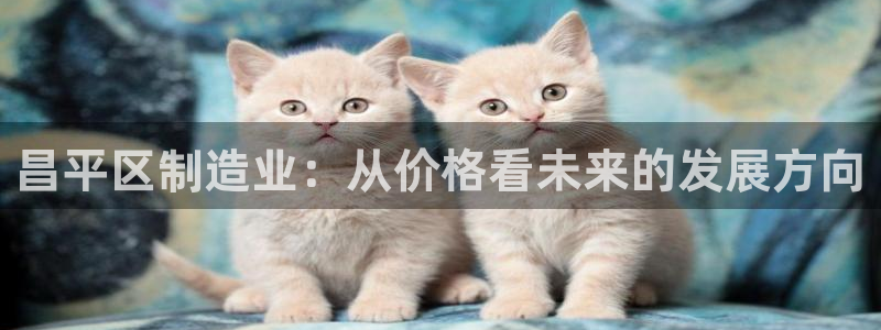 恒行2那74OOO5：昌平区制造业：从价格看未来的发展方向