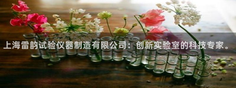 恒行娱乐掏沂74ooo5弛：上海雷韵试验仪器制造有限公司：创