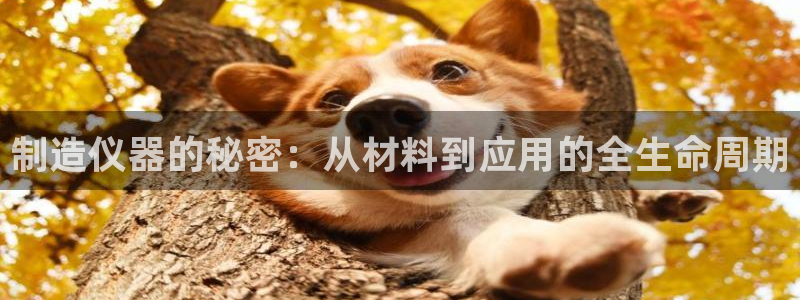 恒行娱乐婆蹬74ooo5盗：制造仪器的秘密：从材料到应用的全