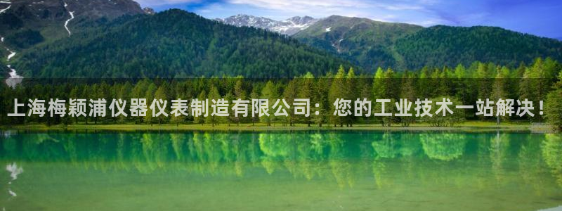 恒行2卫74OOO5：上海梅颖浦仪器仪表制造有限公司：您的工