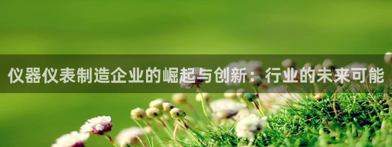 恒行2乃5O6917：仪器仪表制造企业的崛起与创新：行业的未