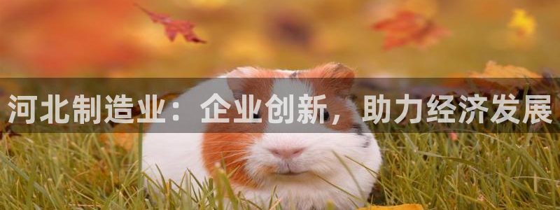 恒行2卫74OOO5：河北制造业：企业创新，助力经济发展