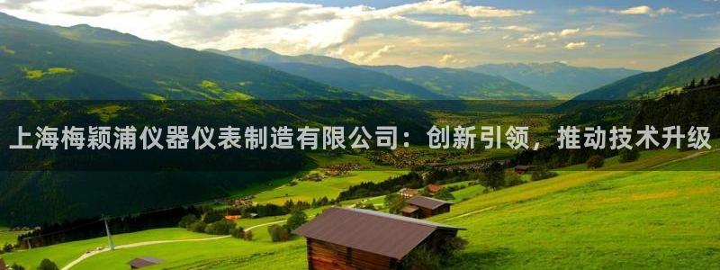 恒行主管总代6ll5l周至：上海梅颖浦仪器仪表制造有限公司：