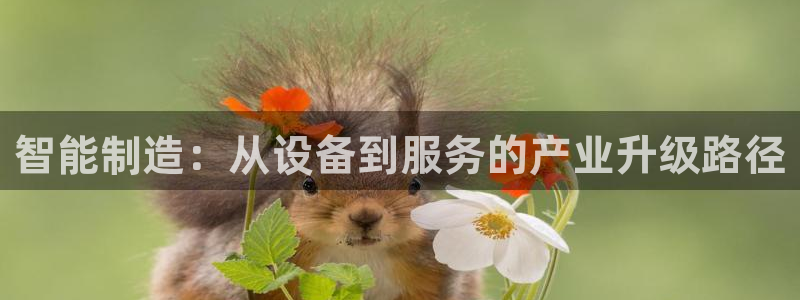 恒行主管首问6ll5l：智能制造：从设备到服务的产业升级路径