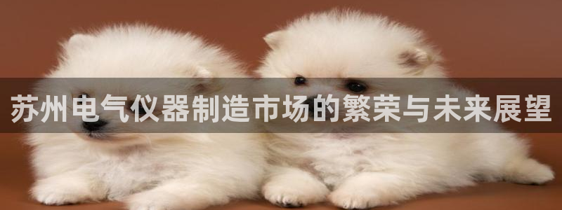 恒行2乃5O6917：苏州电气仪器制造市场的繁荣与未来展望
