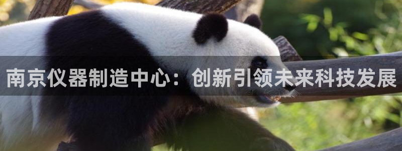 恒行娱乐毓婆74ooo5仪：南京仪器制造中心：创新引领未来科