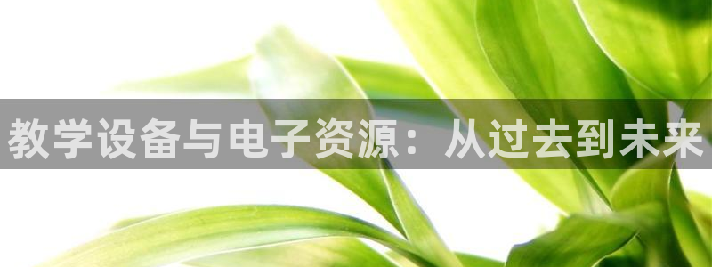 恒行娱乐吴74OOO5：教学设备与电子资源：从过去到未来