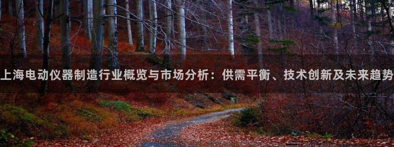 恒行娱乐5ll533主管优雅：上海电动仪器制造行业概览与市场