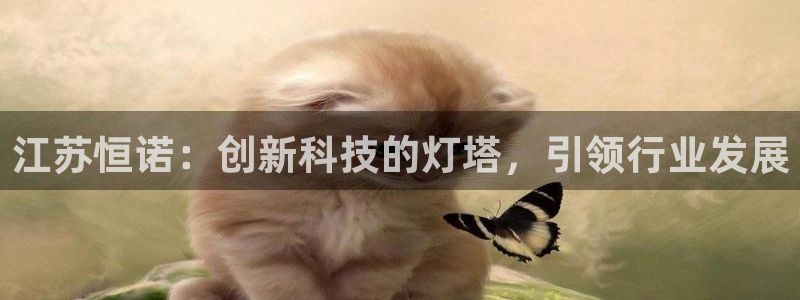 恒行娱乐蒋74OOO5：江苏恒诺：创新科技的灯塔，引领行业发