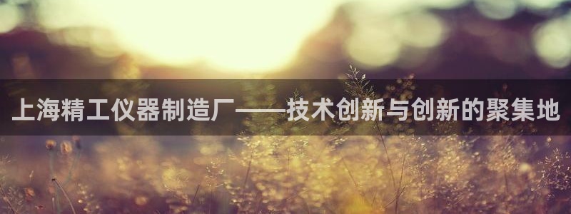 恒行2褚74OOO5：上海精工仪器制造厂——技术创新与创新的