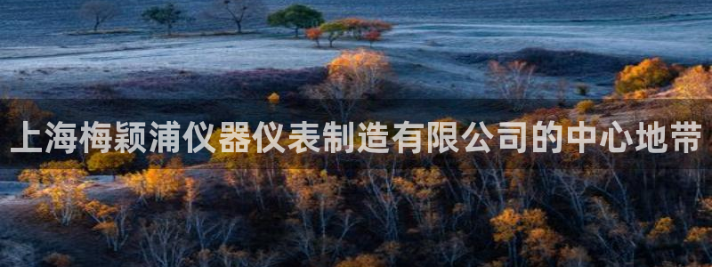 恒行娱乐蜗74ooo5指磁：上海梅颖浦仪器仪表制造有限公司的