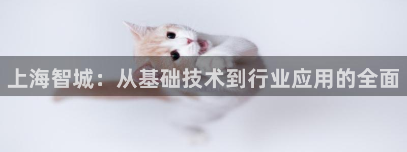 恒行娱乐周74OOO5：上海智城：从基础技术到行业应用的全面