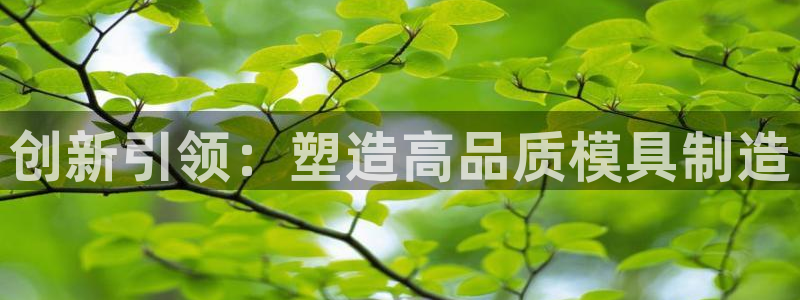 恒行2沈74OOO5：创新引领：塑造高品质模具制造