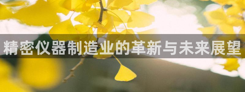 恒行2陈74OOO5：精密仪器制造业的革新与未来展望