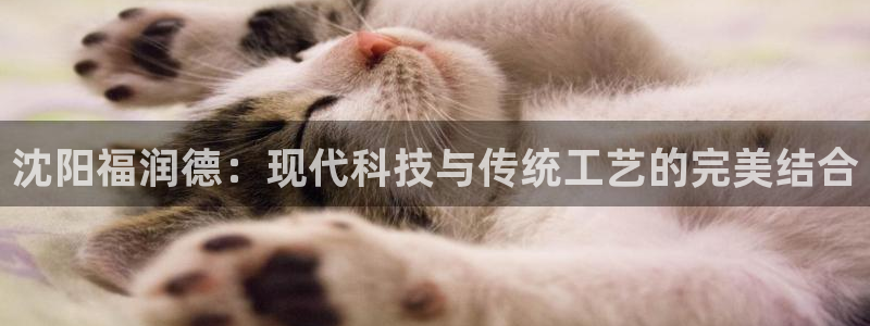 恒行2韩74OOO5：沈阳福润德：现代科技与传统工艺的完美结