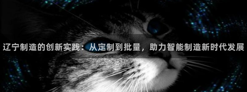 恒在5行中代表什么数字：辽宁制造的创新实践：从定制到批量，助