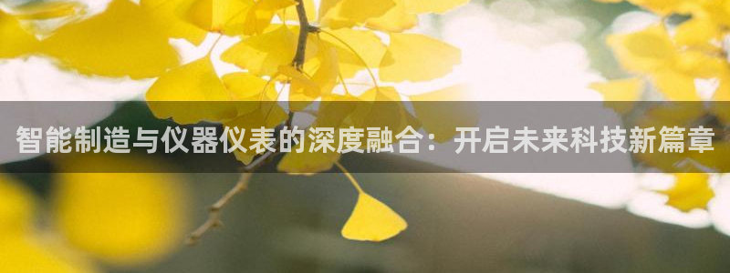 恒行娱乐周74OOO5：智能制造与仪器仪表的深度融合：开启未