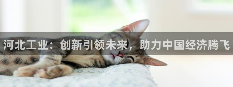 恒行2吕74OOO5：河北工业：创新引领未来，助力中国经济腾