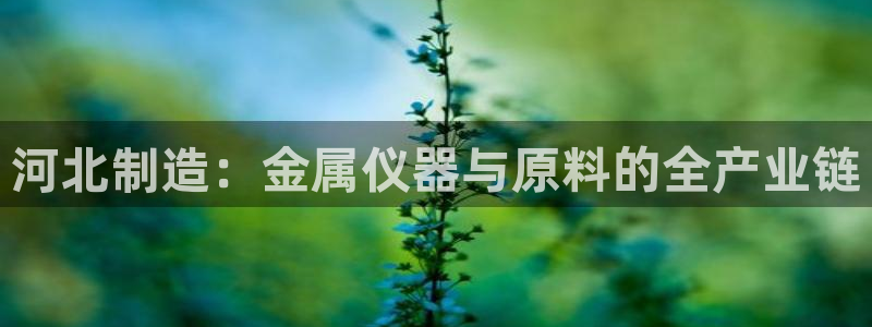 恒行主管招收 6ll5l出奇：河北制造：金属仪器与原料的全产
