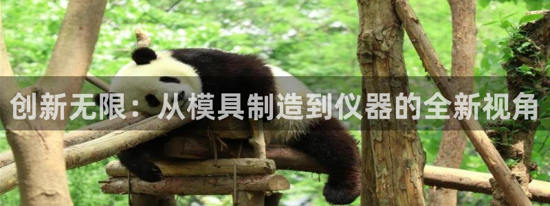 恒行娱乐卫74OOO5：创新无限：从模具制造到仪器的全新视角