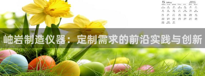 恒行2地74OOO5：岫岩制造仪器：定制需求的前沿实践与创新