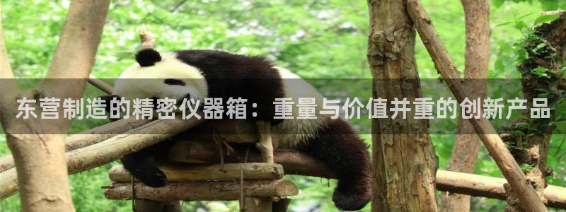 恒行娱乐见5ll533主管：东营制造的精密仪器箱：重量与价值