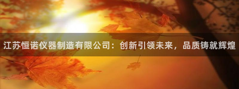 恒行娱乐掏沂74ooo5弛：江苏恒诺仪器制造有限公司：创新引