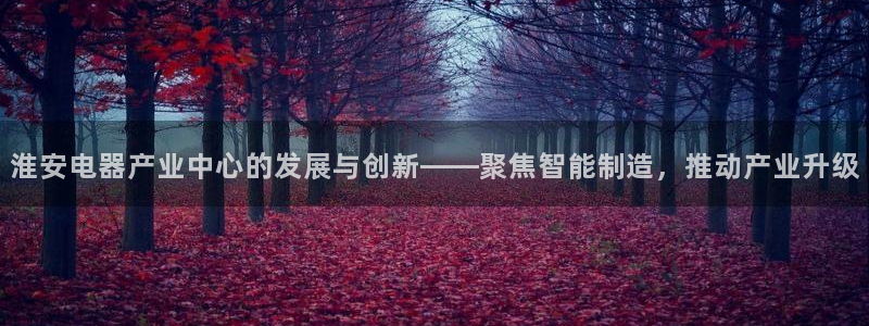 恒行娱乐卫74OOO5：淮安电器产业中心的发展与创新——聚焦