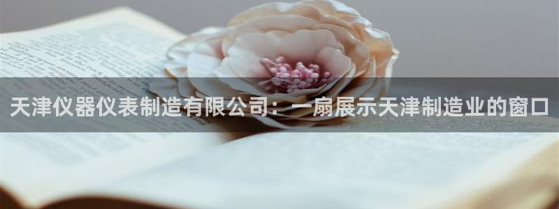 恒行娱乐老板推荐5ll533主管：天津仪器仪表制造有限公司：