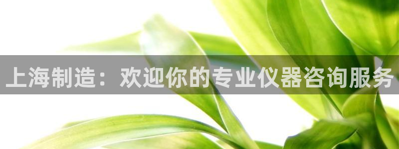 恒行2许74OOO5：上海制造：欢迎你的专业仪器咨询服务