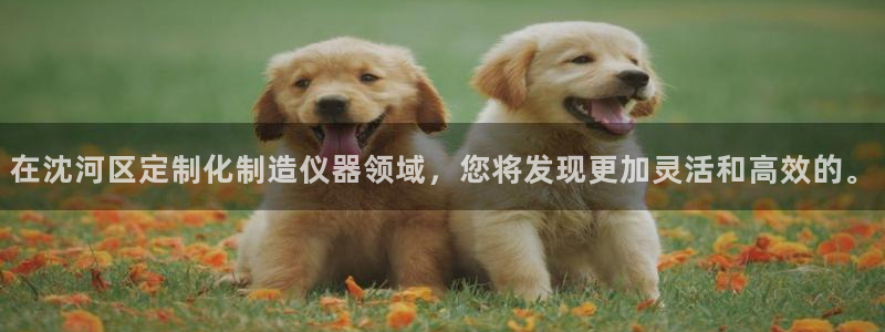 恒行主管6ll5l指定：在沈河区定制化制造仪器领域，您将发现