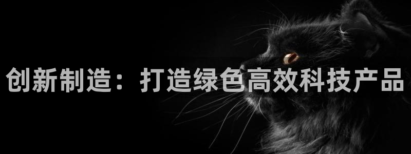 恒行娱乐河沂74ooo5程：创新制造：打造绿色高效科技产品