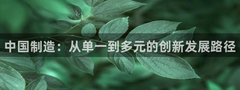 恒行彩票亏5千：中国制造：从单一到多元的创新发展路径