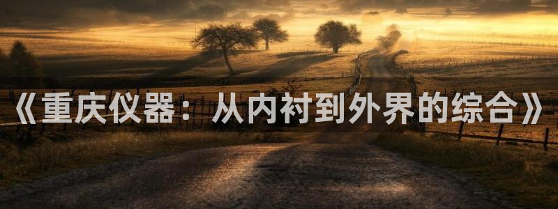 恒行注册全2O5O5O：《重庆仪器：从内衬到外界的综合》