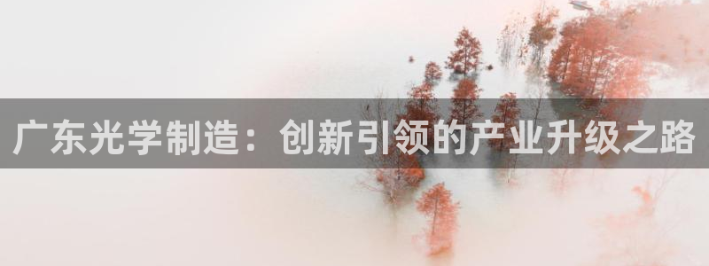 恒行2许74OOO5：广东光学制造：创新引领的产业升级之路