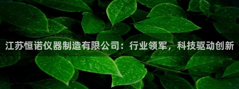 恒行彩票亏5千：江苏恒诺仪器制造有限公司：行业领军，科技驱动