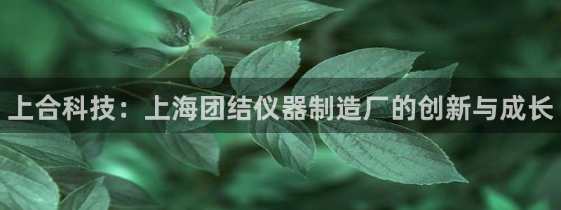 恒行2许74OOO5：上合科技：上海团结仪器制造厂的创新与成