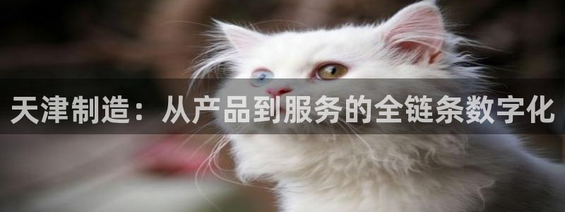 恒行2蒋74OOO5：天津制造：从产品到服务的全链条数字化