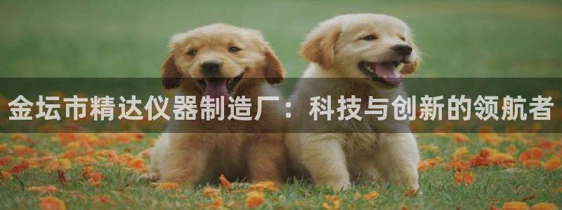 恒行娱乐老板推荐5ll533主管：金坛市精达仪器制造厂：科技